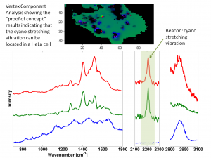 Figure 1: Vertex component analysis depicting the "proof of concept" that our beacon can be located by monitoring the cyano vibrational mode.