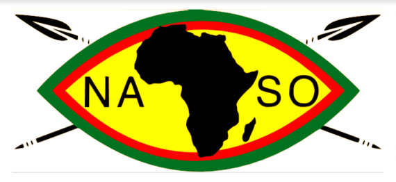 NASO Logo.rev .1560279014