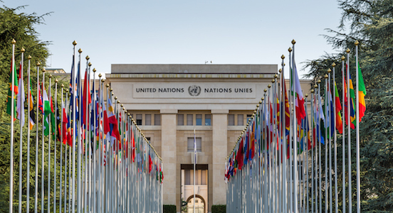 UN Careers: 9 United Nations Career Paths photo