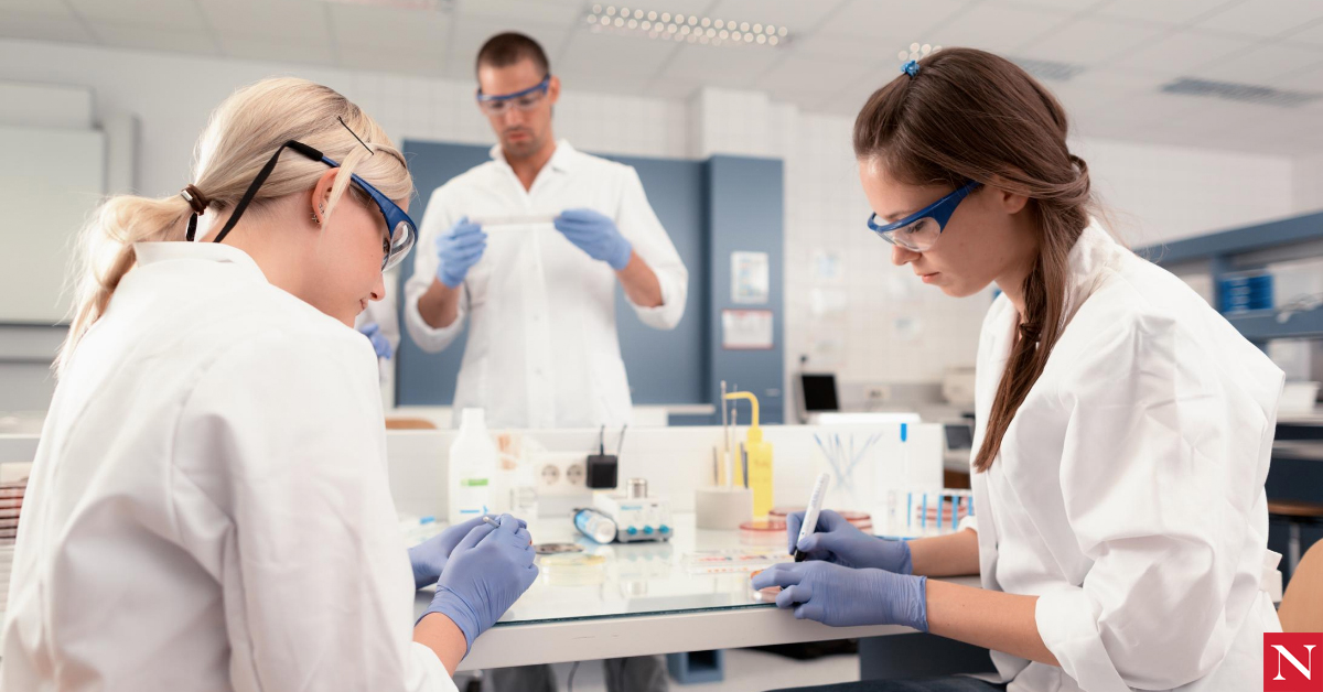 PhD vs. Master's in Biomedical Science: What's the Difference?