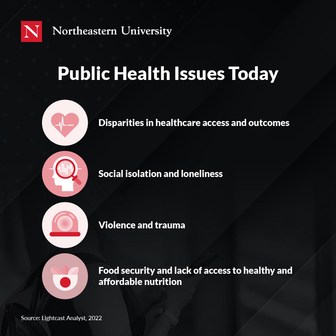 Public-Health-Issues-Today-Northeastern-University